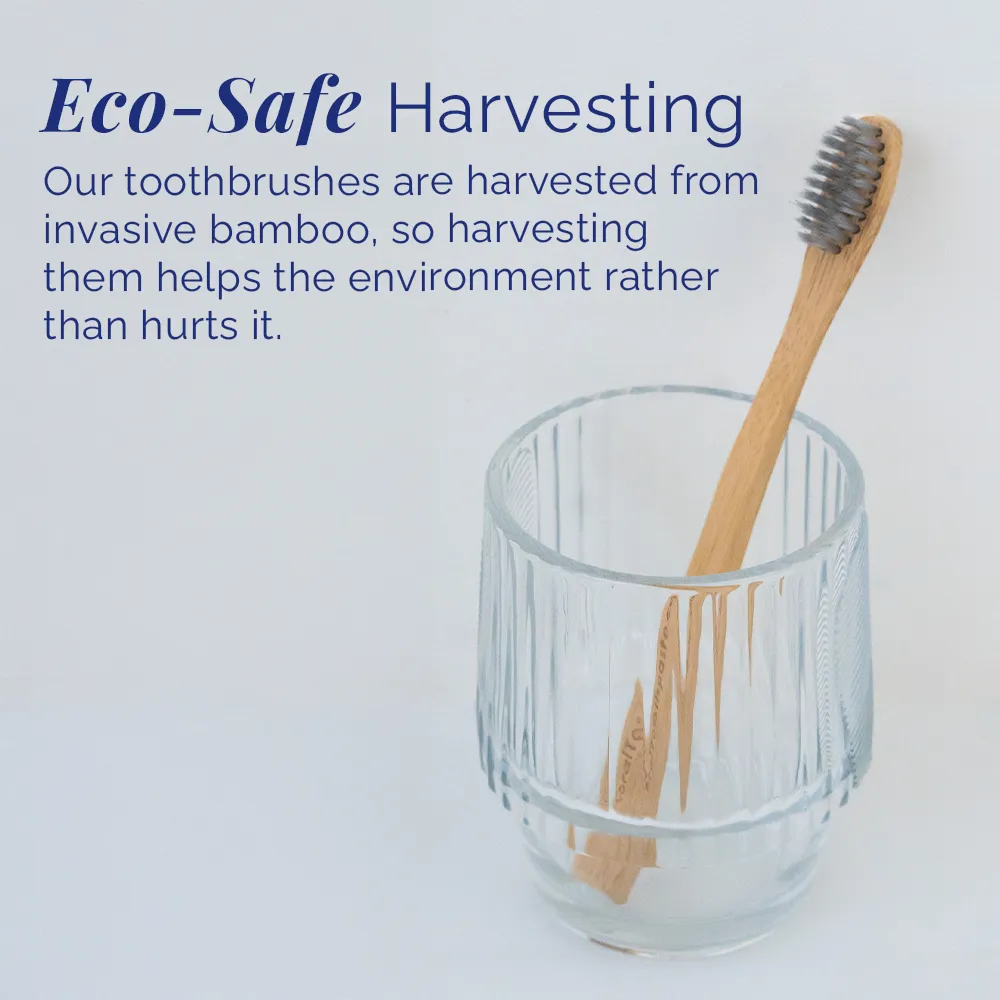 Nano Silver Kids Bamboo Toothbrush - Image 4